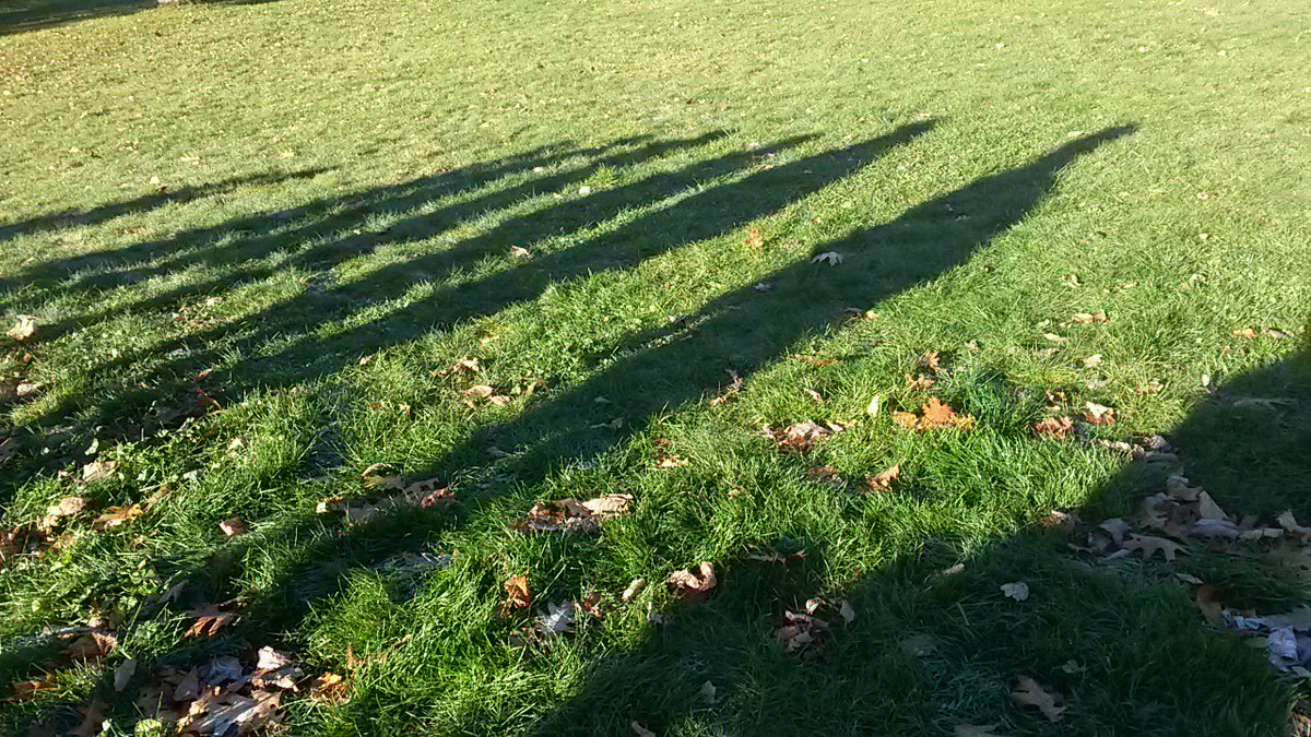 CHPSLibrary's tweet photo. Morning programs have started @MansfieldCentre 
It is going to be an amazing fall day! 
#fallshadows
#fallsunshine
#teambuilding 
@EcoSchoolsHDSB @ON_EcoSchools @ChpsMilton https://t.co/m3RORPdMvf