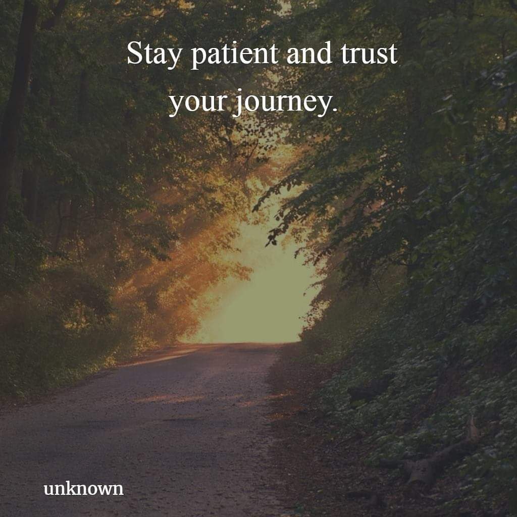 AgilitywAmanda's tweet photo. #stay #patient and #trustthejourney

#quote #quotes #quotesforlife #tuesdaythoughts https://t.co/W751G21ByC