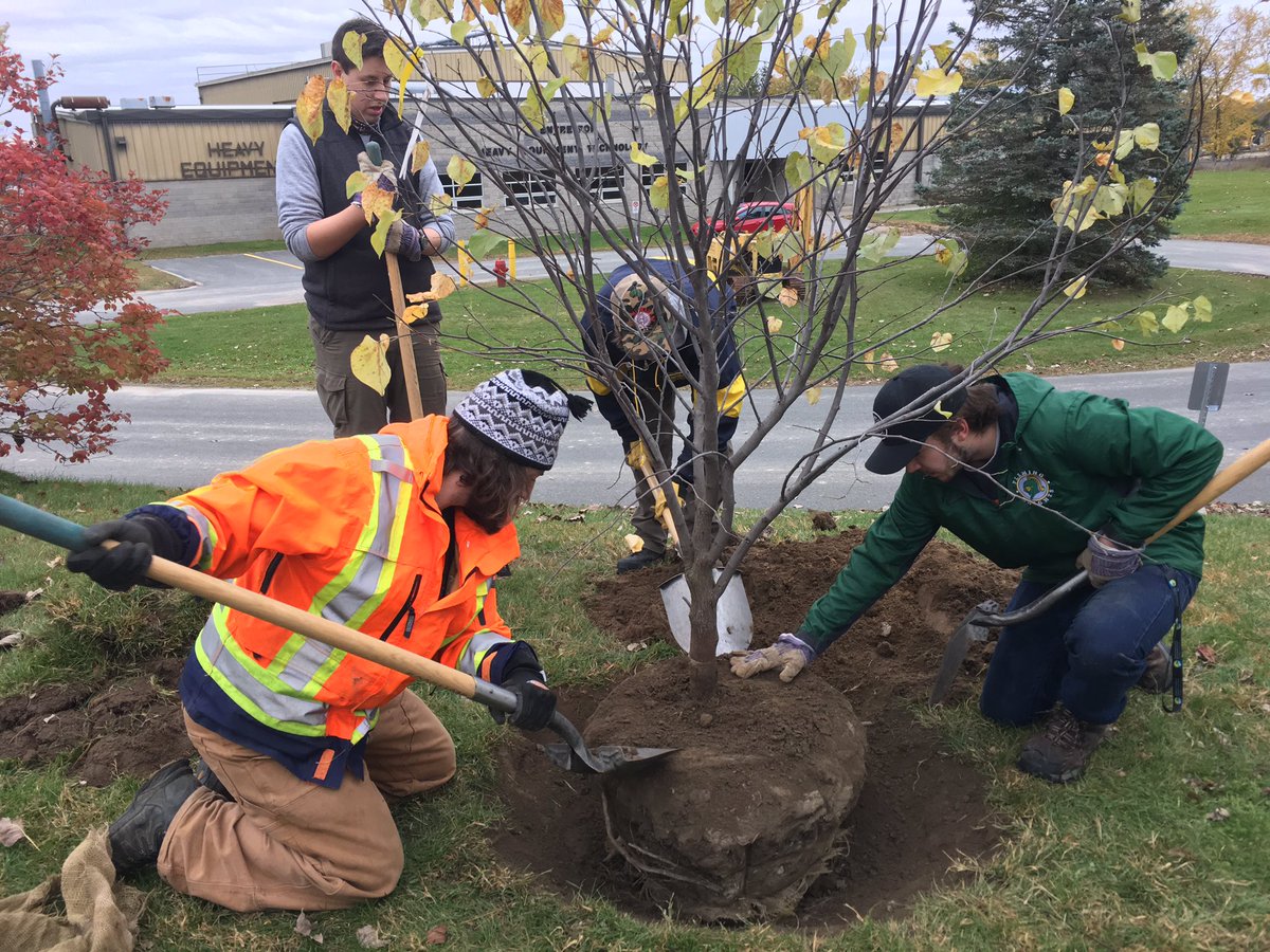 Tree Planting @FrostDeanBrett for the Arboretum project! Proud that TD has supported this project along with other key partners!