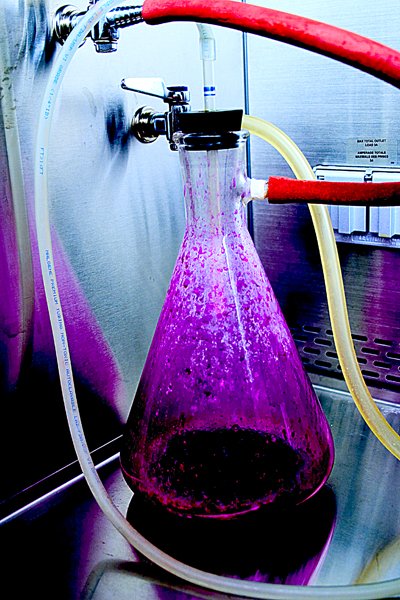 Daniel Arneman tweet media