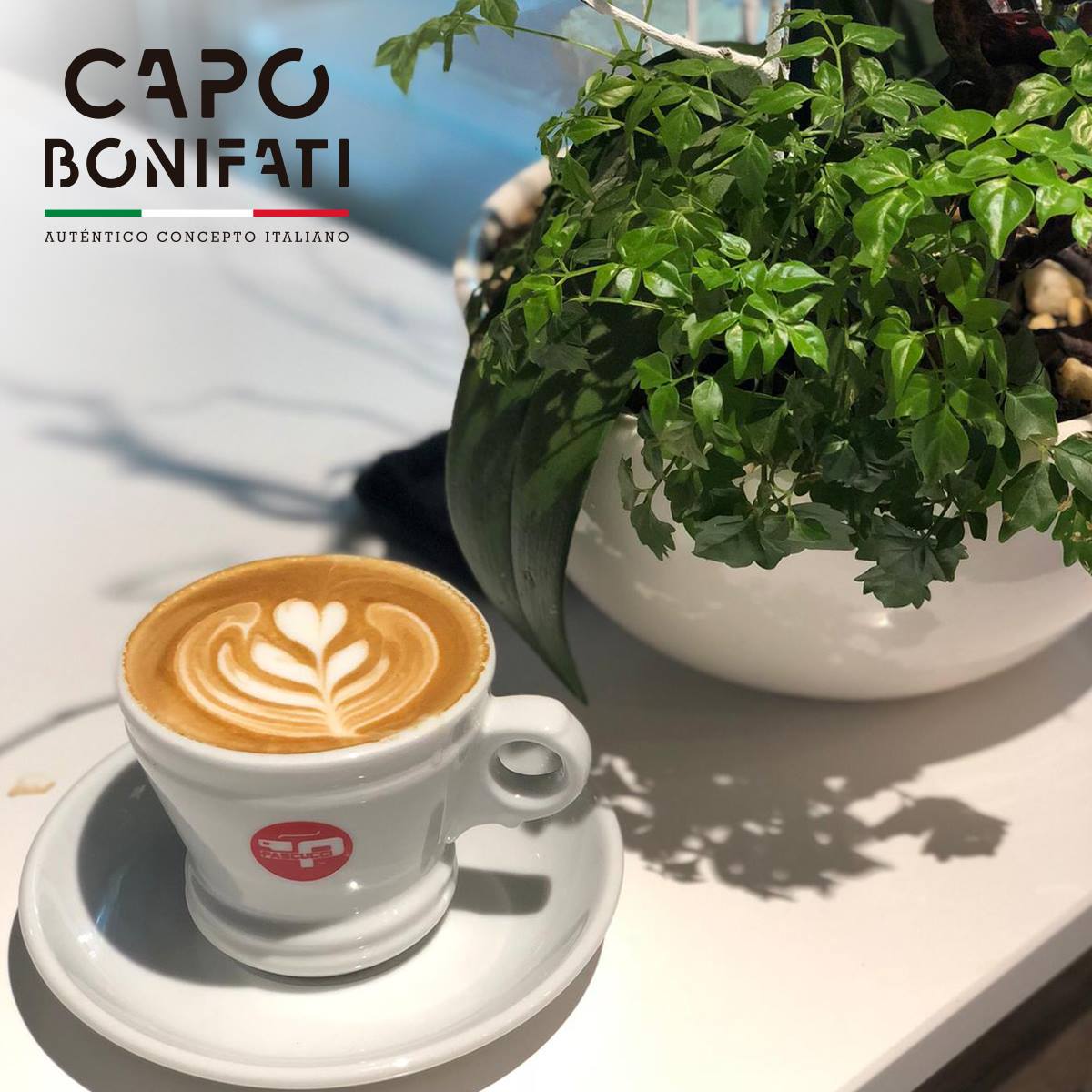 CapoBonifati's tweet photo. "Con suficiente café...¡nada es imposible!"☕✨
Y en #CapoBonifati encontrarás la mejor variedad de "L'autentico caffè italiano"🇮🇹
Disfruta de la intensidad y cremosidad del #CaffèPascucci y combínalo con tus meriendas favoritas 🙌 https://t.co/qkcVvX65fk