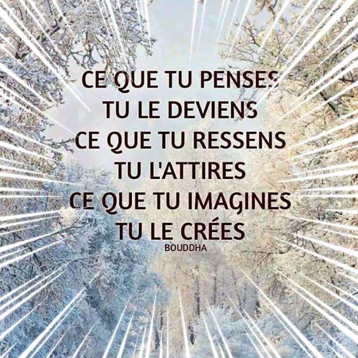Corinne Ubeda (@ubeda04) on Twitter photo 