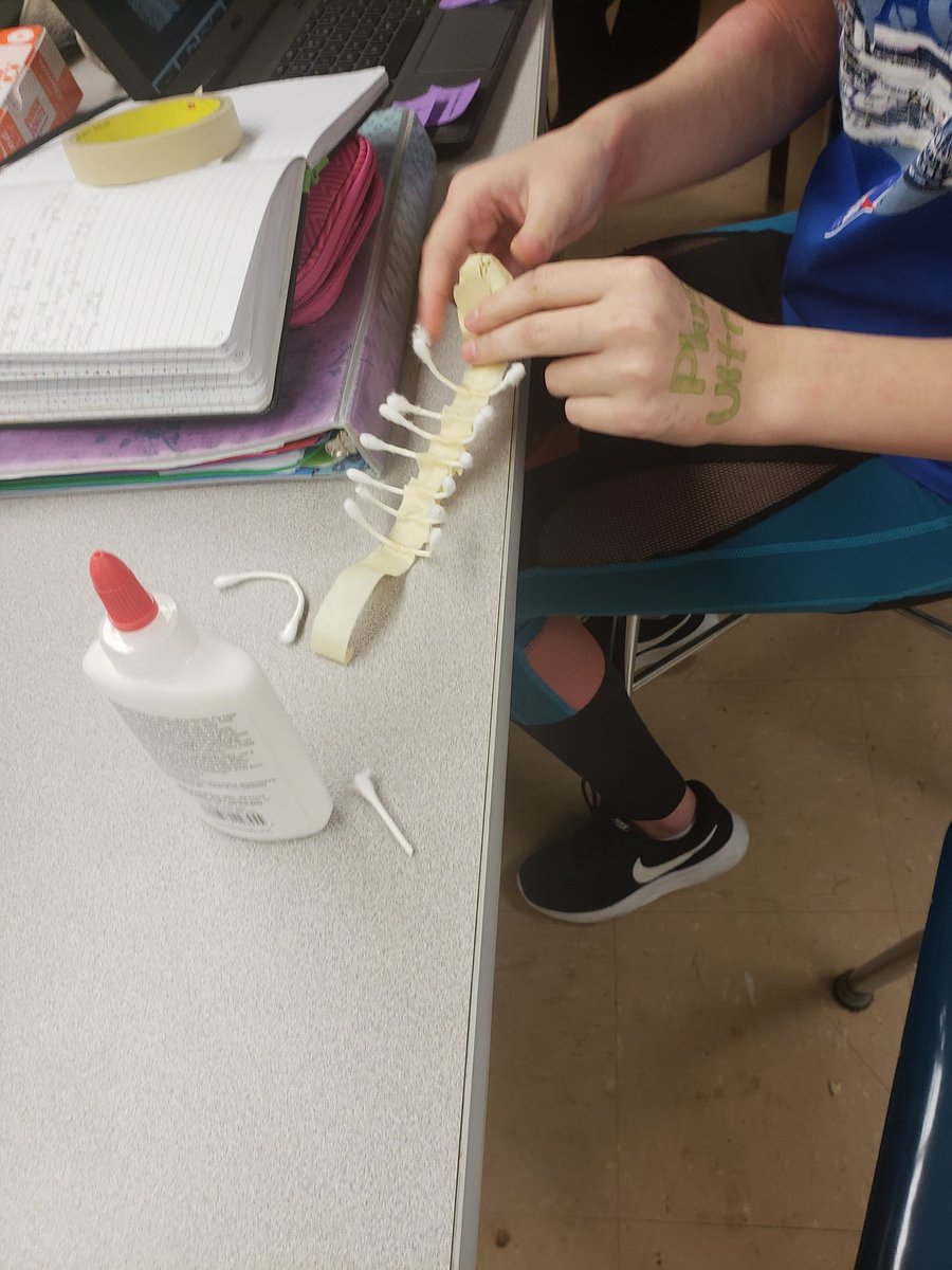 BarronScience's tweet image. Engineering challenge - making skeleton models with qtips. Are you team spooky or team accuracy?