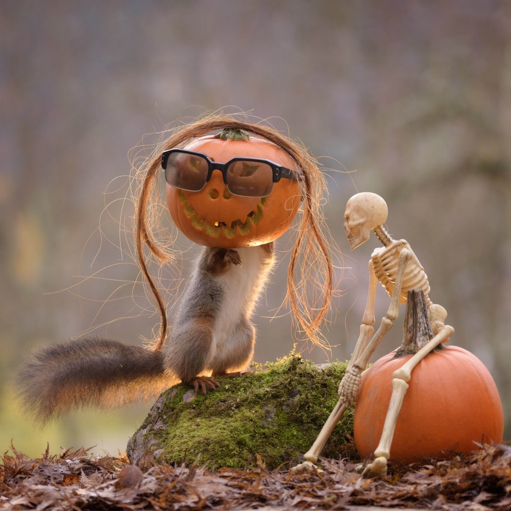 Anna_and_Sarah's tweet photo. Happy Halloween!! 🎉😈👹☠🐿  #halloween #halloween2018 #trickortreat #annaandsarah 
#nuts #driedfruits #healthy #healthbenefits #nutrition #recipe #recipeshare #foodie #beautiful #love #cleaneating https://t.co/6fChclRm2Q