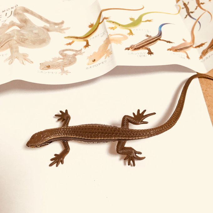 カナヘビのtwitterイラスト検索結果 古い順