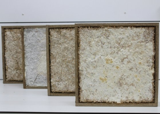 Akoestische panelen met een tweede leven als compost. Lees ons blog over deze co-creatie met tomatenplanten, oesterzwammen en duurzaam design: bit.ly/2CQmajq
Op 1 november, tijdens Expeditie Circulair, tonen we de eerste succesvolle proeven en het proces ernaartoe. #CE