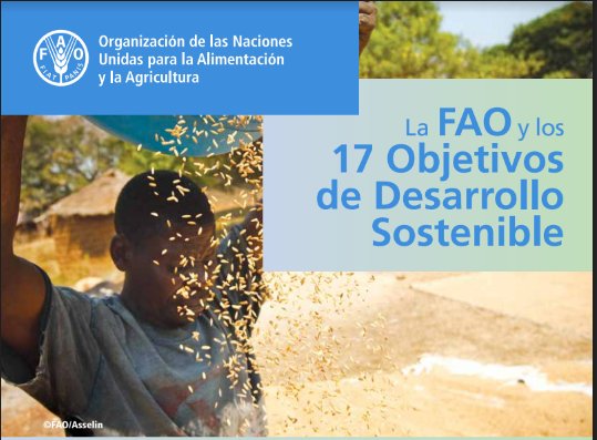 proliderdr's tweet photo. Entérese del informe ''La FAO y los 17 Objetivos de Desarrollo Sostenible'' ofrecen una visión de un mundo más justo, más próspero, pacífico y
sostenible, en el que nadie es dejado atrás. @FAO #Prolider #FAO #Ponibilidad #ODS #ProliderSostenible https://t.co/fHVoVZ62VJ https://t.co/eJsosLcQfd