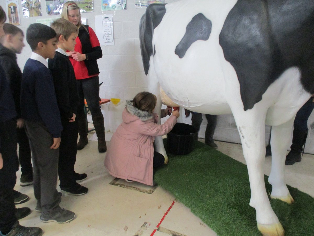 P6 enjoyed a fantastic experience as they participated in activities @RHETFife in their annual Food and Farming day! Thank you.  Lots of engaging activities and learning about #foodandfarming #agronomy @scottishfarmer @STEAMFife #Waroutpsp6