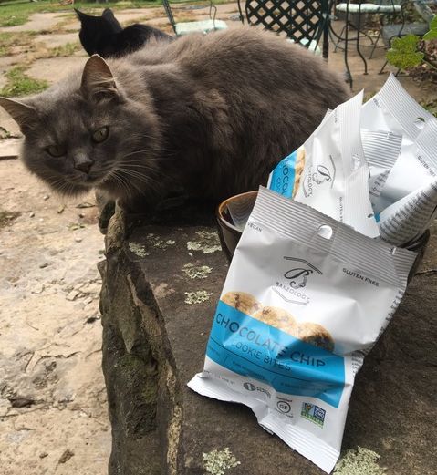 GG is hoping someone attending ThanksLiving 2018: A Celebration for Turkeys this Saturday will give her one of the delicious cookies that @Bakeology donated to our event!

Simple ingredients &amp; lots of love. Gluten-free - Vegan - Non-GMO
bakeology.co

Thank u <a href="/bakeology/">Bakeology</a>