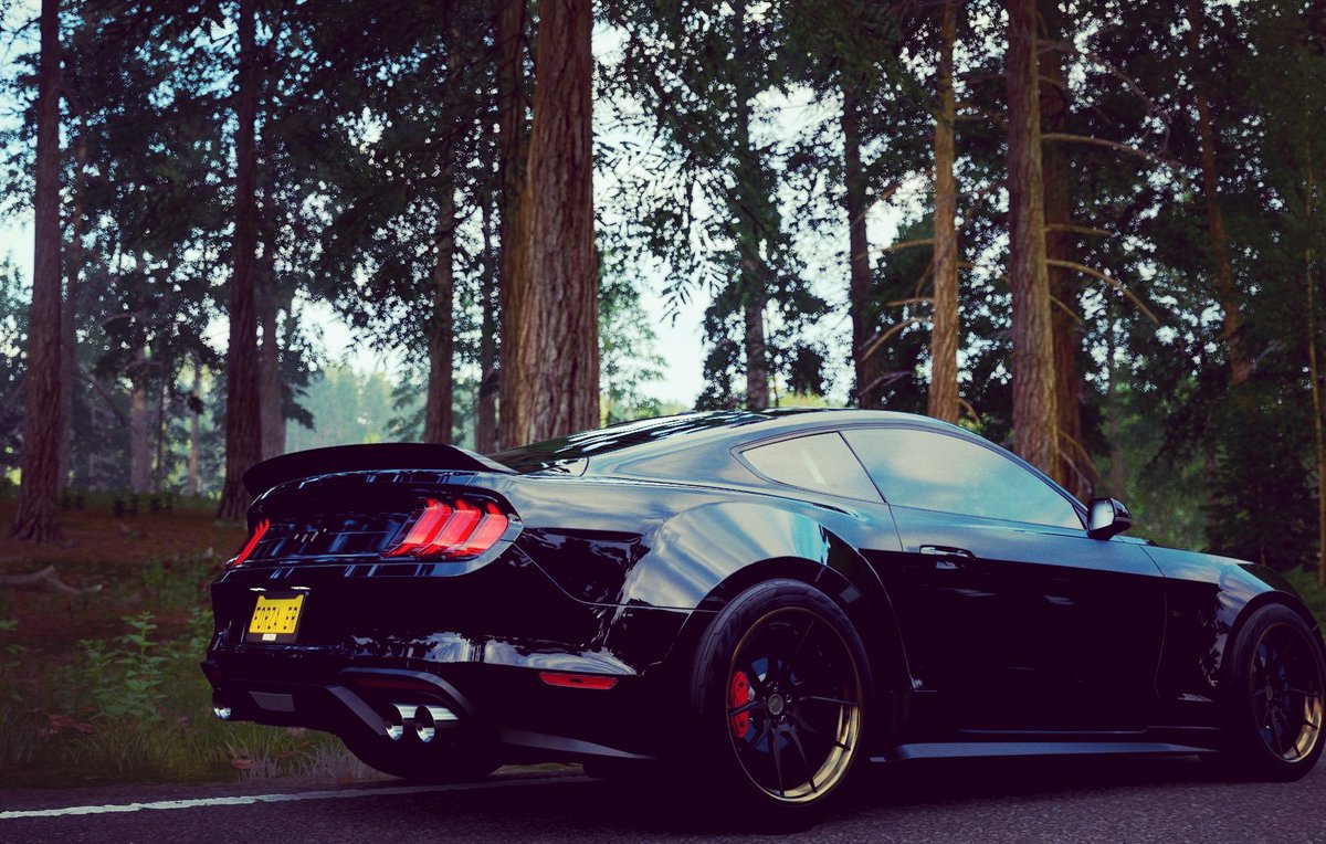ForzaErwin84's tweet photo. Maybe nice to know but 99% pictures taken of #ForzaHorizon4 are from my #Xbox One S. Game looks stunning on the S as well and big achievement of the team with what they pulled off ๐๐ป @WeArePlayground @ralphmfulton ๐
๐ปโโ๏ธ #ForzaFan https://t.co/KsoVYwfbWI