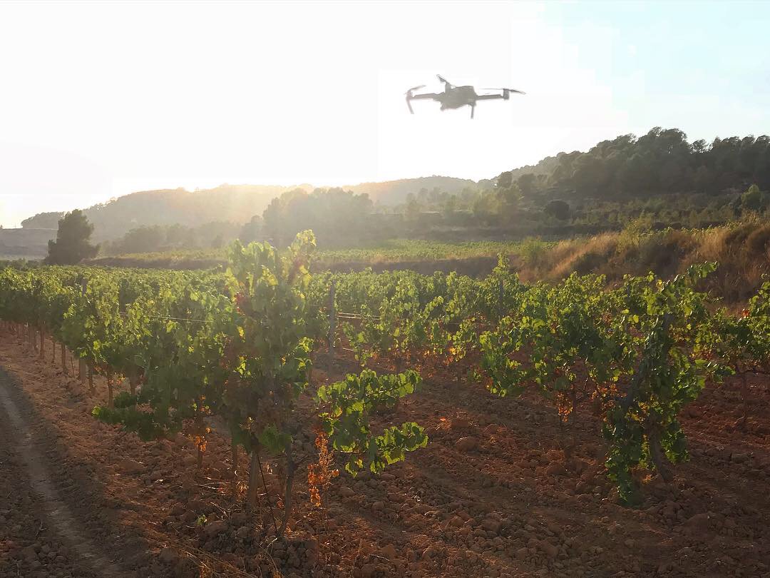 oneproduccions's tweet photo. Todo apunto para la @festadelvi de #Gandesa!
En One Produccions estamos terminando el spot del centeanrio de la coperativa de Vino de #Gandesa. Estamos muy ilusionados con este encargo de @bluverdcom para el @coopgandesa #fansDOTerraAlta #LookLikeOne #bluverd #festadelvigandesa https://t.co/N8IEEkeZ9t