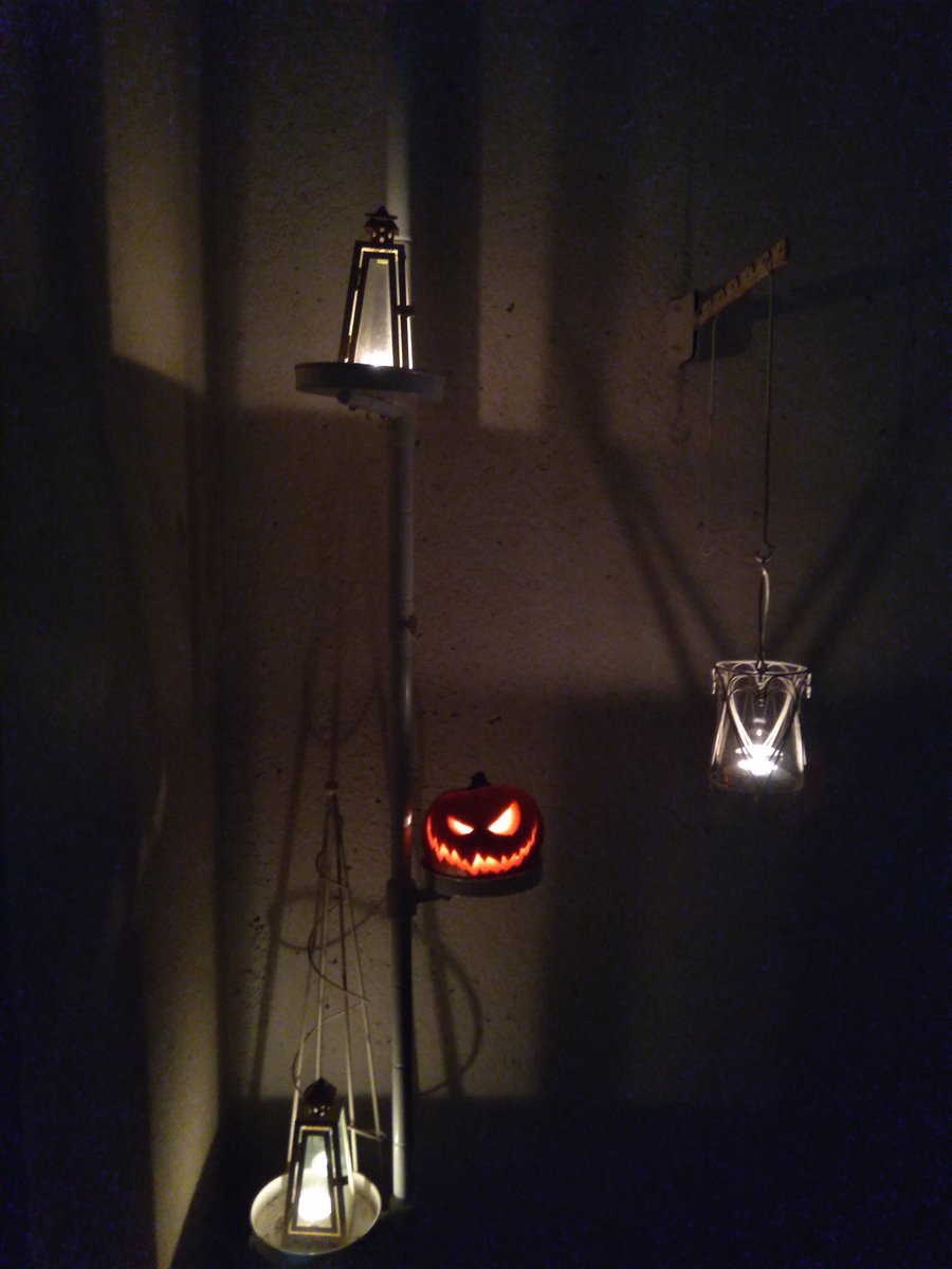 There are pumpkins in the gloaming.