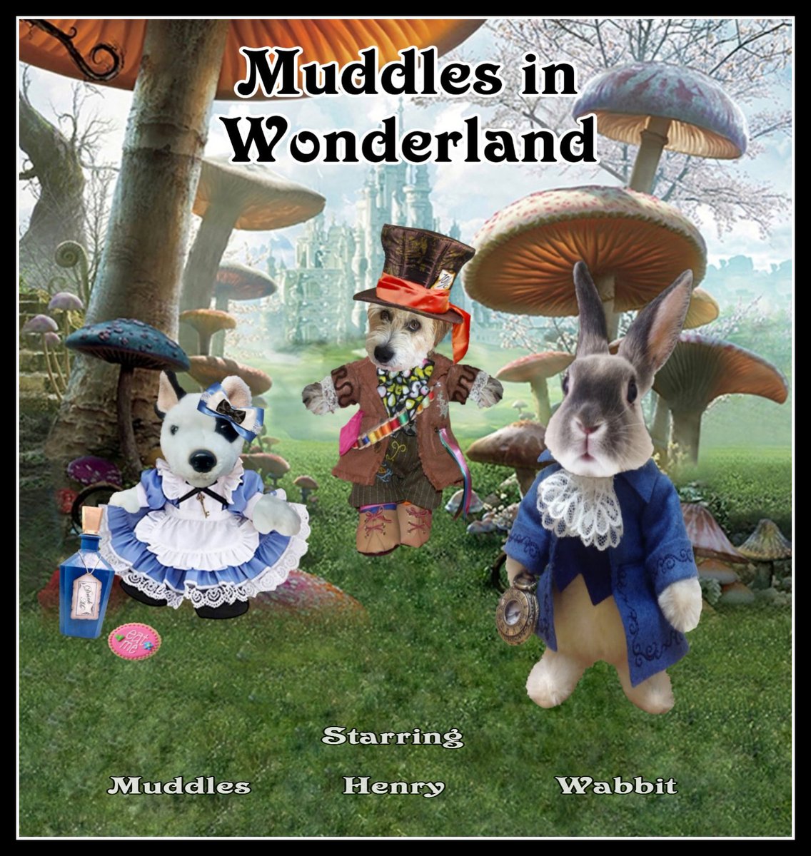 MuddlesDog's tweet image. Curiouser &amp;amp; curiouser! Iz tumbled down a rabbit hole &amp;amp; stumbled across a White-ish Wabbit &amp;amp; a Mad Hatter in Wonderland. Somehow theyz look familiar!🤔
Ut-oh! Wez late... wez late... fur a very impawtant date... #ZSHQ&apos;s Halloween Parade. *chases Wabbit* 💜
@ZombieSquadHQ #ZSParade