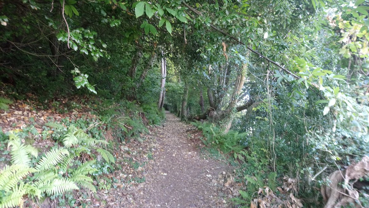 MumbyatMovies's tweet photo. Another day, another section of @swcoastpath sorted - this time #WestPorlock to #Culbone within @ExmoorNP in #Somerset :) https://t.co/Id98iWQ7QX