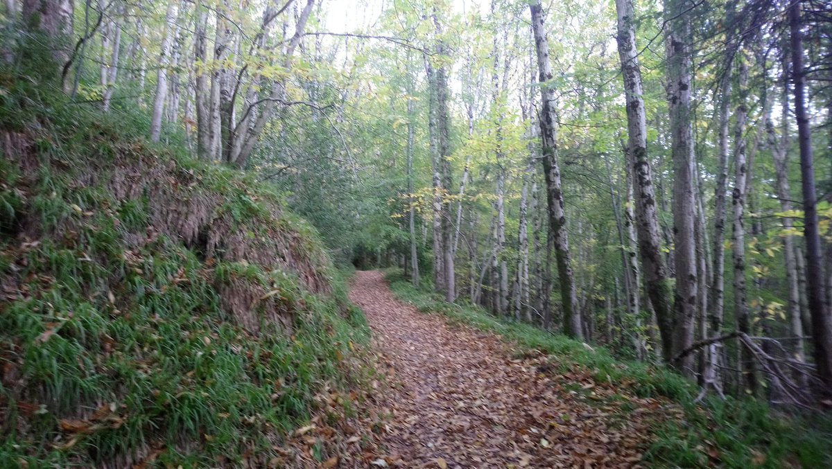 MumbyatMovies's tweet photo. Another day, another section of @swcoastpath sorted - this time #WestPorlock to #Culbone within @ExmoorNP in #Somerset :) https://t.co/Id98iWQ7QX