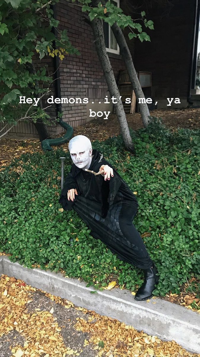 Chi Omega Utah tweet media