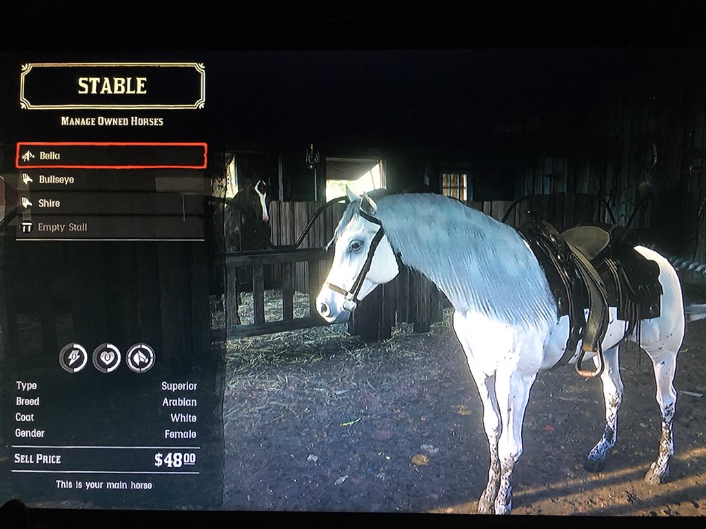 WhoElseButWizZ on X: “This is my new Rare white Arabian horse I