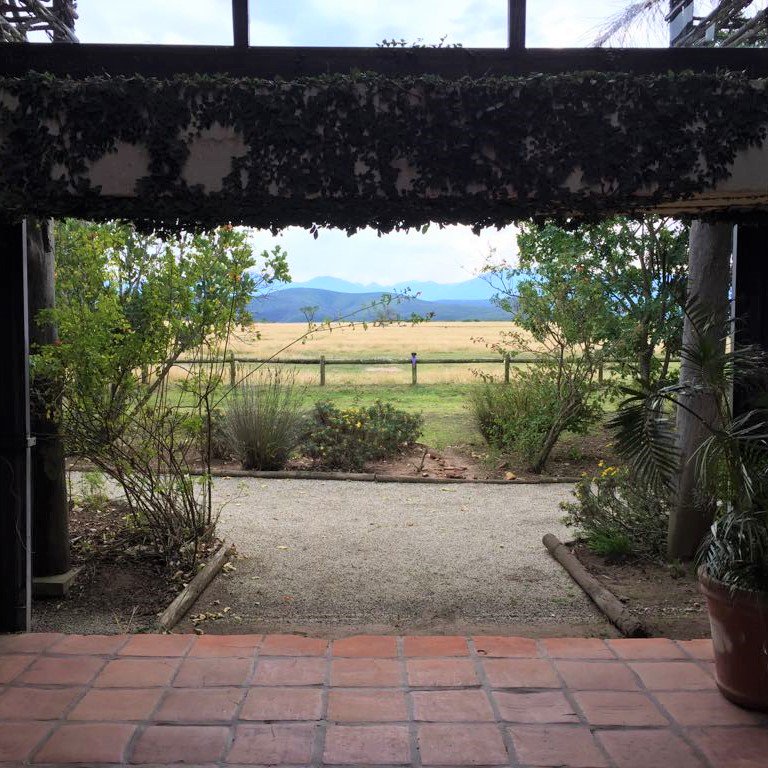 An afternoon in Africa, from main reception. Are you ready? #plettgamereserve #tranquility #relax #safari #big5