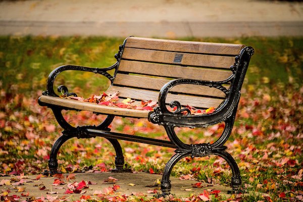 It's a beautiful day on campus!