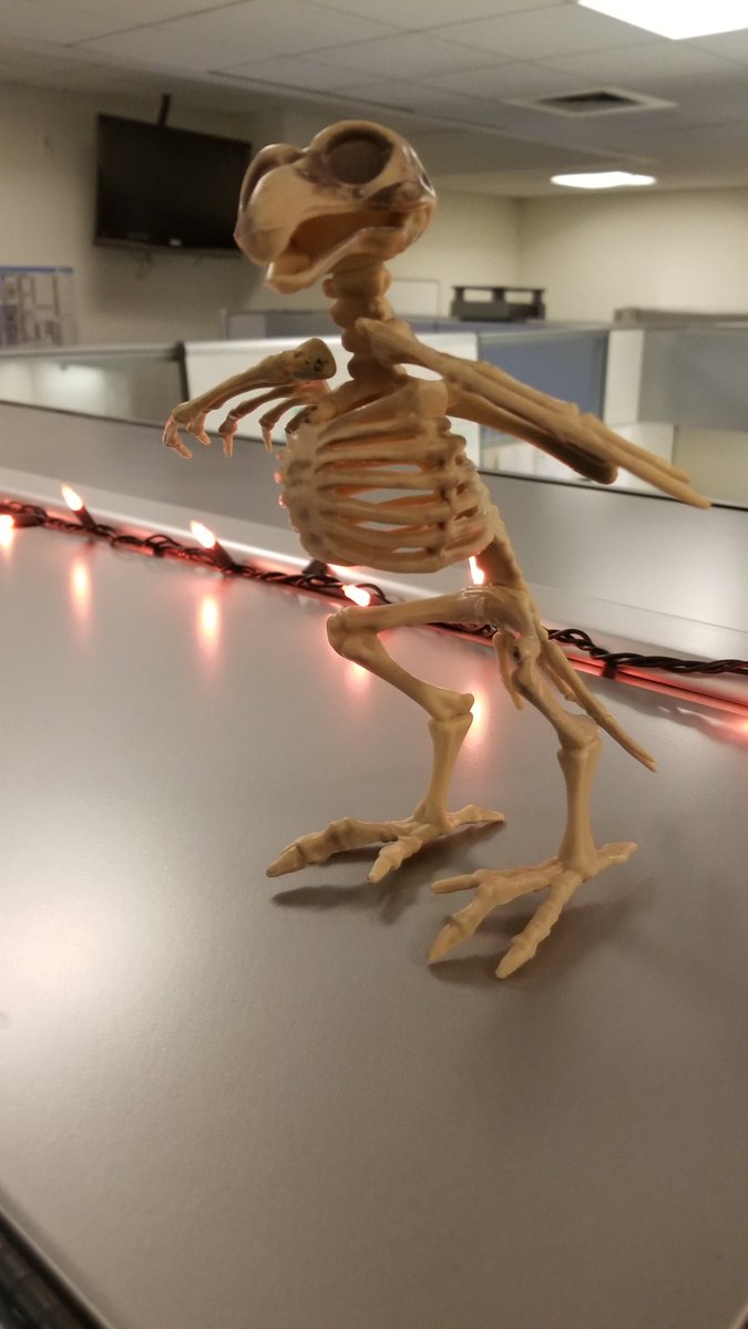 xhenox's tweet image. &quot;It&apos;s that woooonderful time of the year...&quot;
#CBS #SpookyTech