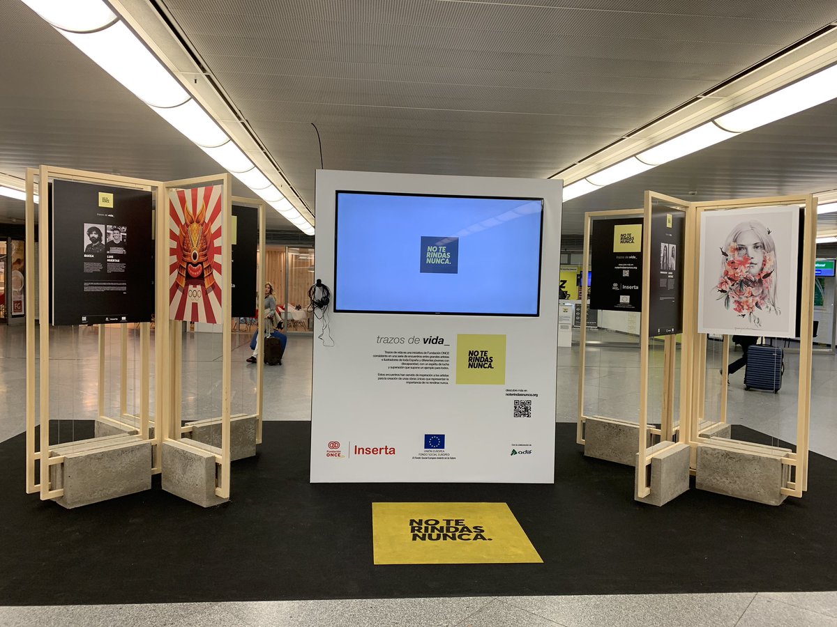 Virginia Carcedo tweet media