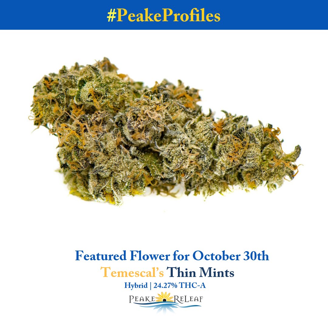 PeakeReLeaf's tweet photo. #PeakeProfiles: #Featuredflower for 10/30 features the return of Thin Mints from @temescalmd! Thin Mints is an indica-dominant hybrid containing β-Caryophyllene (0.44%), β-Myrcene (0.39%), and Limonene (0.337%) - testing at 24.27% THC-A! Stop by today to check out this strain! https://t.co/smJA366nxH