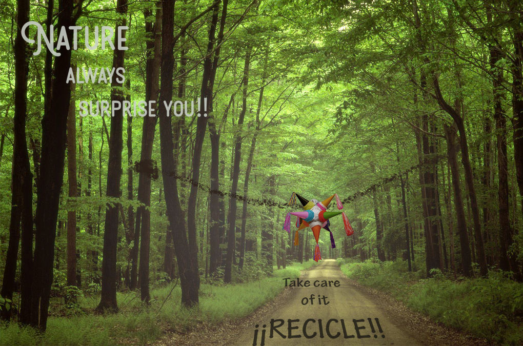 PiniataforYou's tweet photo. #recicle #piniata #nature https://t.co/RmHyaC8UpW
