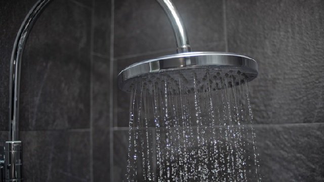 ASMnewsroom's tweet photo. Researchers Find Correlation between Showerhead #Bacteria and Lung Infections - New Study in @ASMicrobiology's @mbiojournal https://t.co/g2mxgHjMrX https://t.co/t54GYaG8Lg