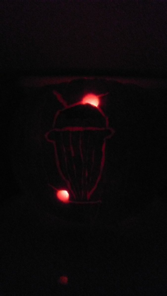 HerInteractive's tweet photo. Another great entry by Sarah! #NDpumpkin https://t.co/stBGAGTB3t