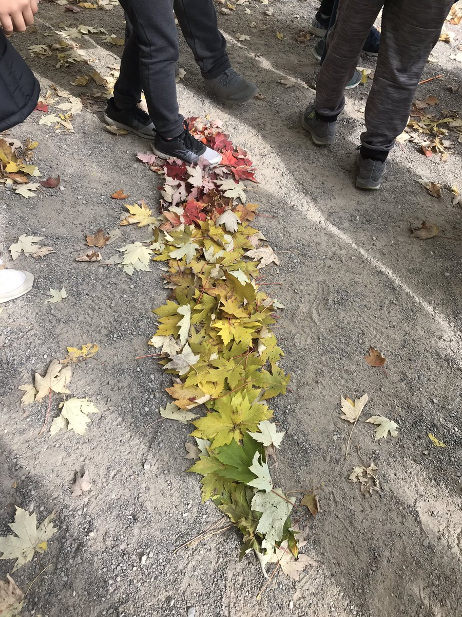 LEAP2learn2018's tweet photo. Loving being at the U of G Arboretum...Grade 7’s reflecting, making a color gradient, and pacing out their map to their “natural treasures “. #LEAP2learn #ugdsb #ricksonwolves #uofgarboretum https://t.co/JFfs5Gn8xQ