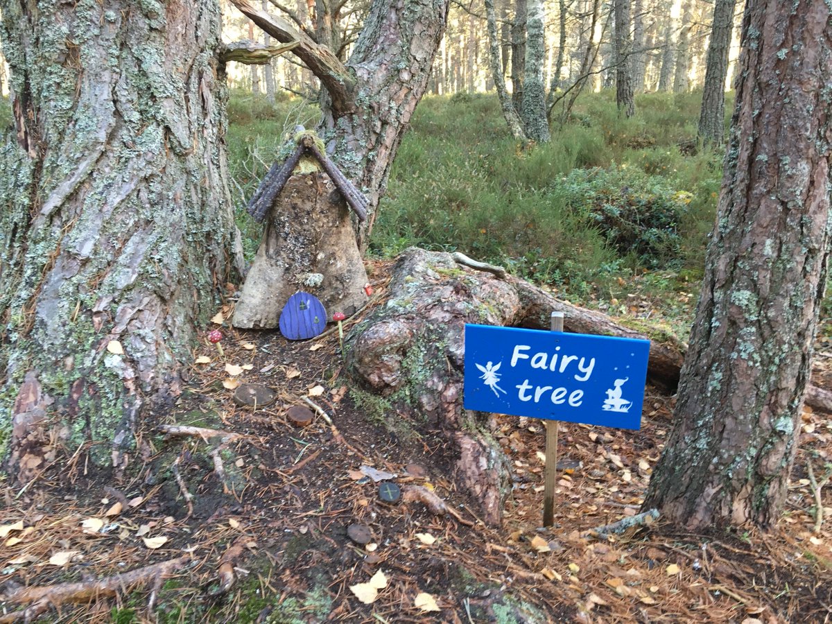 TeacupTweed's tweet photo. Visiting the @RSPBLochGarten Osprey Centre. No osprey but some very friendly great tits and even a few crested tits, a red squirrel and two woodpeckers. We didn't see any fairies though. https://t.co/acAqWebE0H