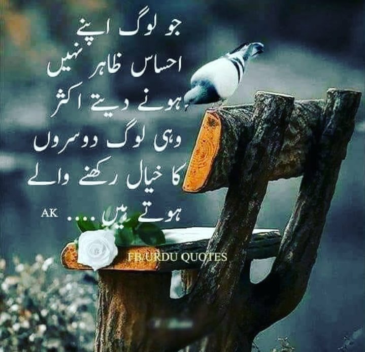 NIAZMUGHAL9's tweet photo. #__good__night______😊 https://t.co/4e8pMNFEQ5