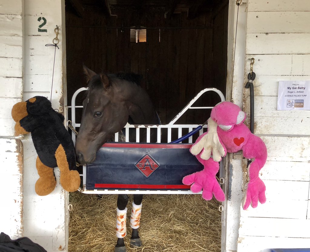 AfterFinishLine's tweet photo. My Gal Betty, who is racing in the Juvenile Fillies Turf, brought her besties to @BreedersCup. https://t.co/ChxNHRGUlQ