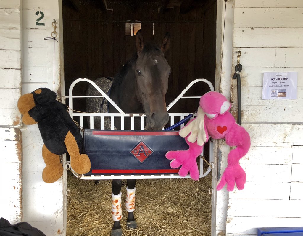 AfterFinishLine's tweet photo. My Gal Betty, who is racing in the Juvenile Fillies Turf, brought her besties to @BreedersCup. https://t.co/ChxNHRGUlQ