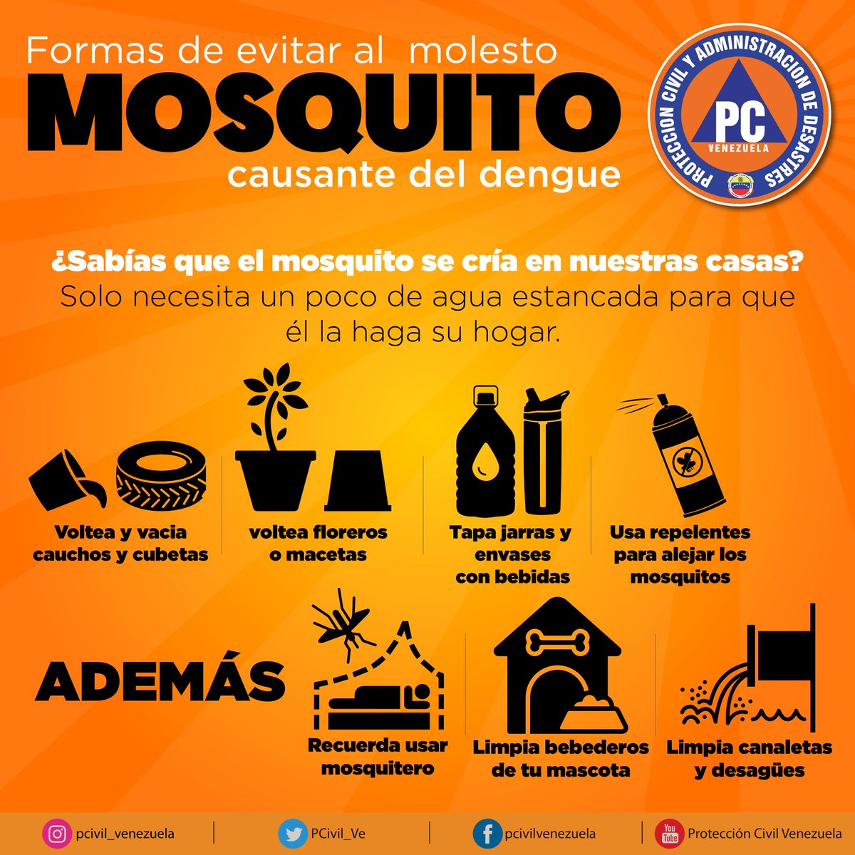 ¡Toma dato! conoce las formas de evitar el molesto mosquito causante del dengue dentro de tu hogar. (+INFO)  #Aragua #Venezuela #VenezuelaGarantíaDeDDHH #25Sep #COVID__19