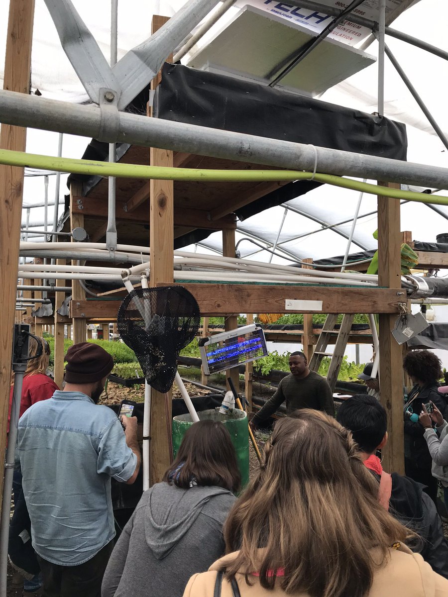 WallaceCenter's tweet photo. Thank you Dre and Nile Valley Aquaponics for hosting our group and sharing the true intention and story behind your space. Kansas City is lucky to have you! #FSLnetwork #systemsleadership #aquaponics #mentorship https://t.co/0jJ3wC7xX8