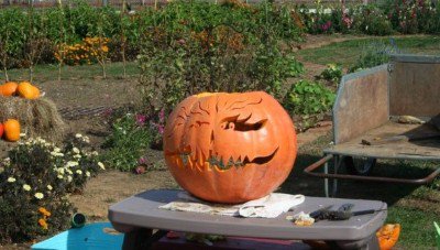 GIGMotown's tweet photo. Halloween with Grow It Green 🎃 - https://t.co/4LEAiUFeYO https://t.co/zZBK9Sxbuy