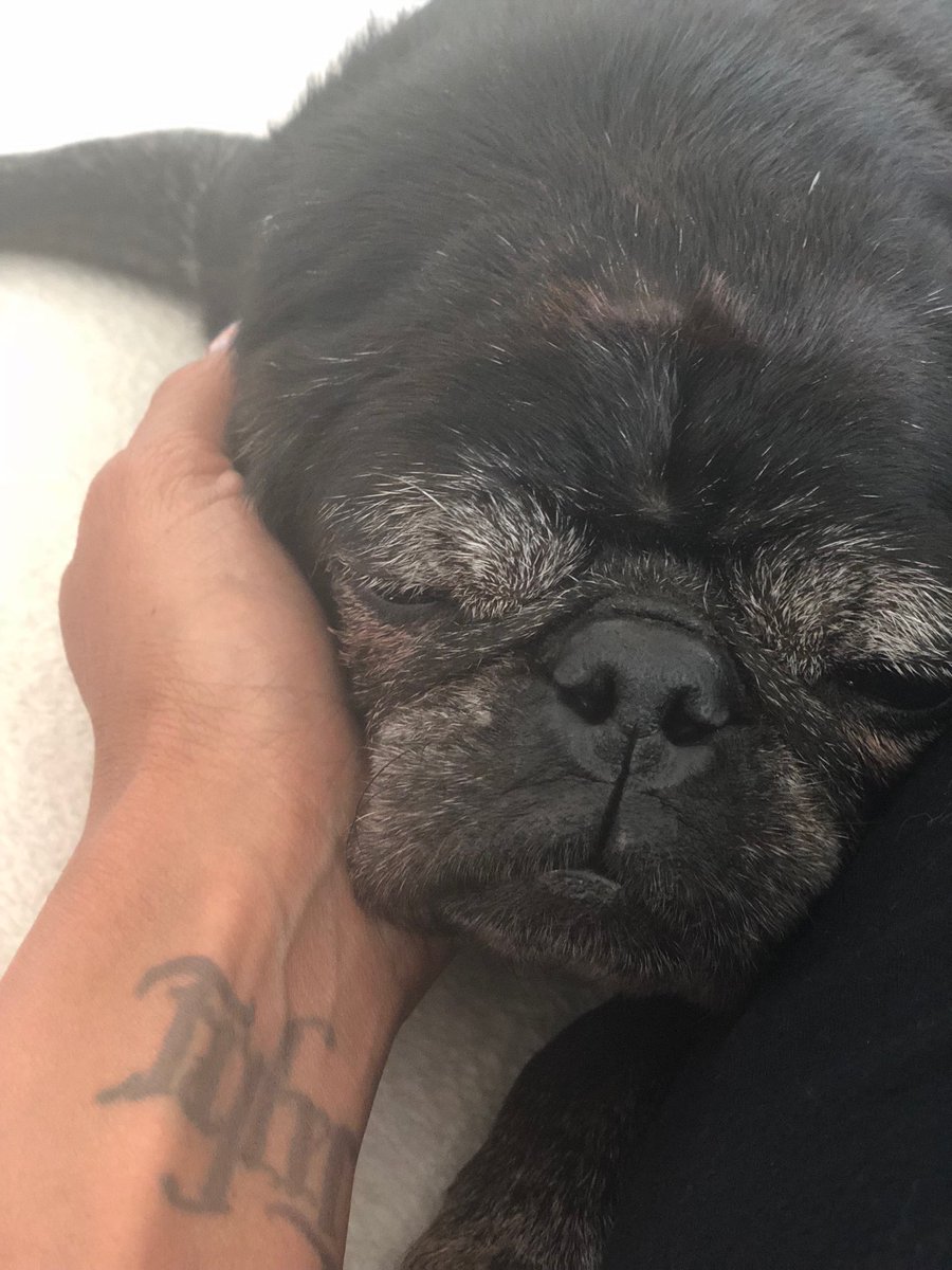 Talinda Bennington tweet media