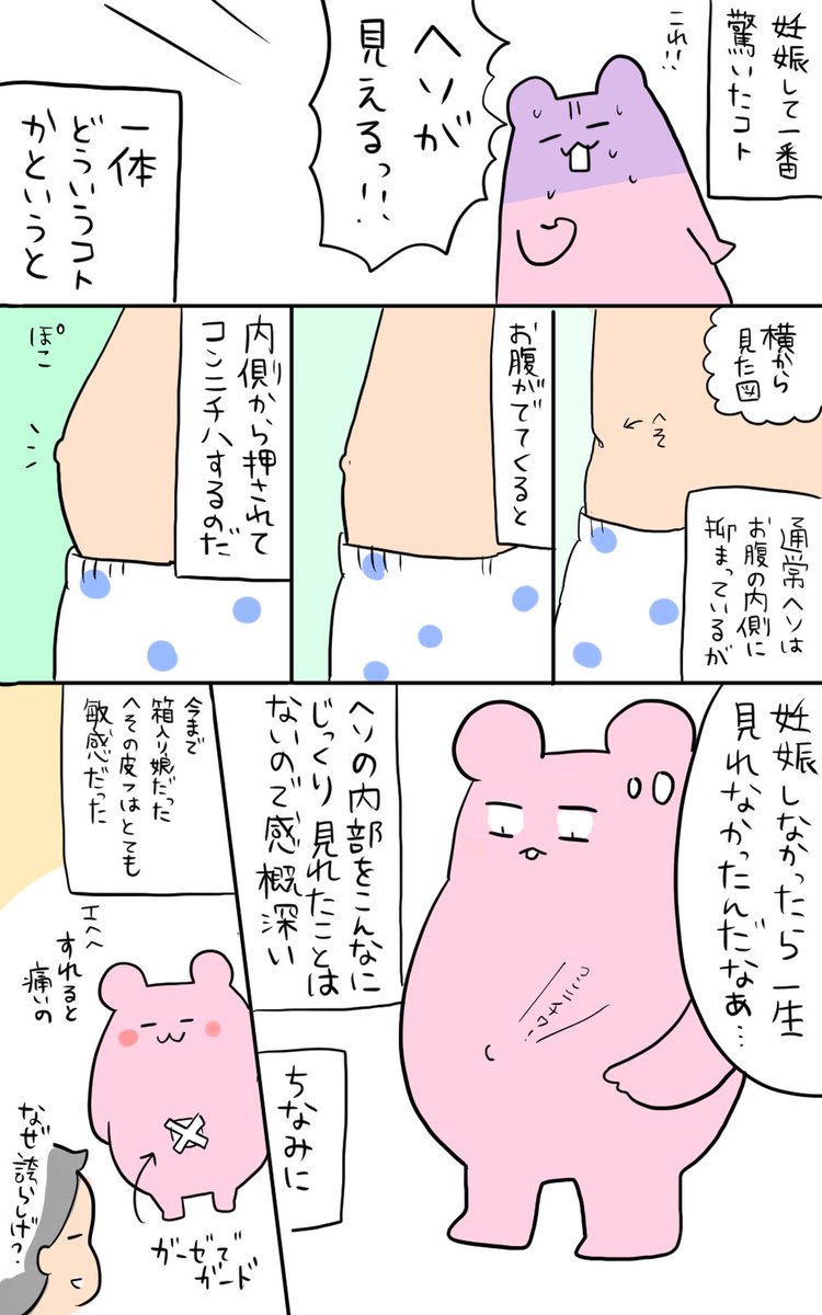 妊娠しなかったらら一生見えなかった場所 