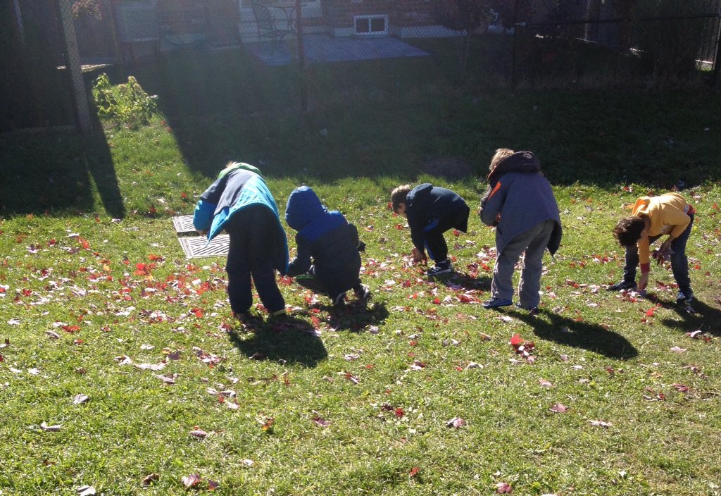 Rm111Gators's tweet photo. Enjoying the fall colours and used leaves to begin our sorting unit. Many interesting ways to sort the colours and sizes. https://t.co/Dsg5folrSH