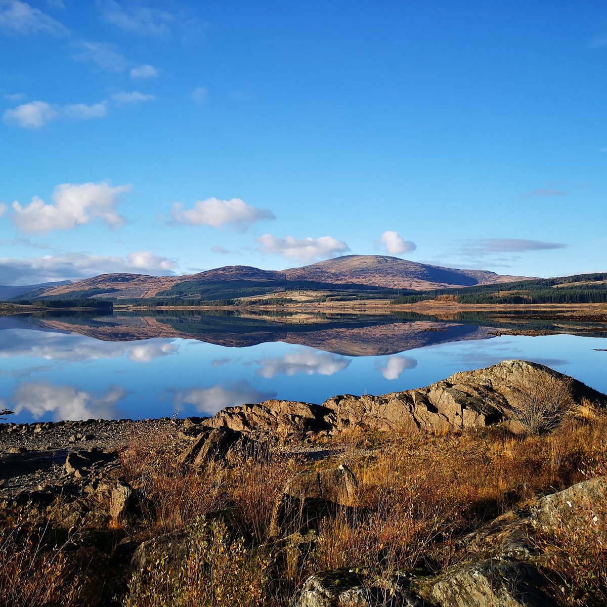 Beautiful autumn view