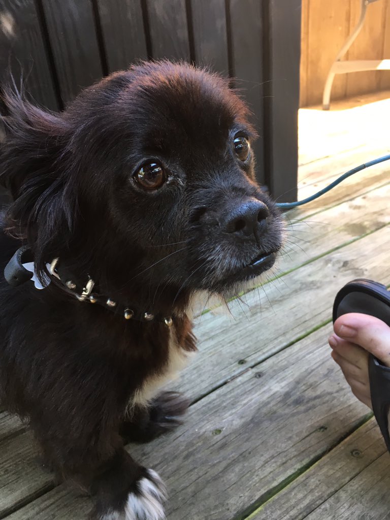 Media Tweets by nude selfies (@nudeselfies3) | Twitter