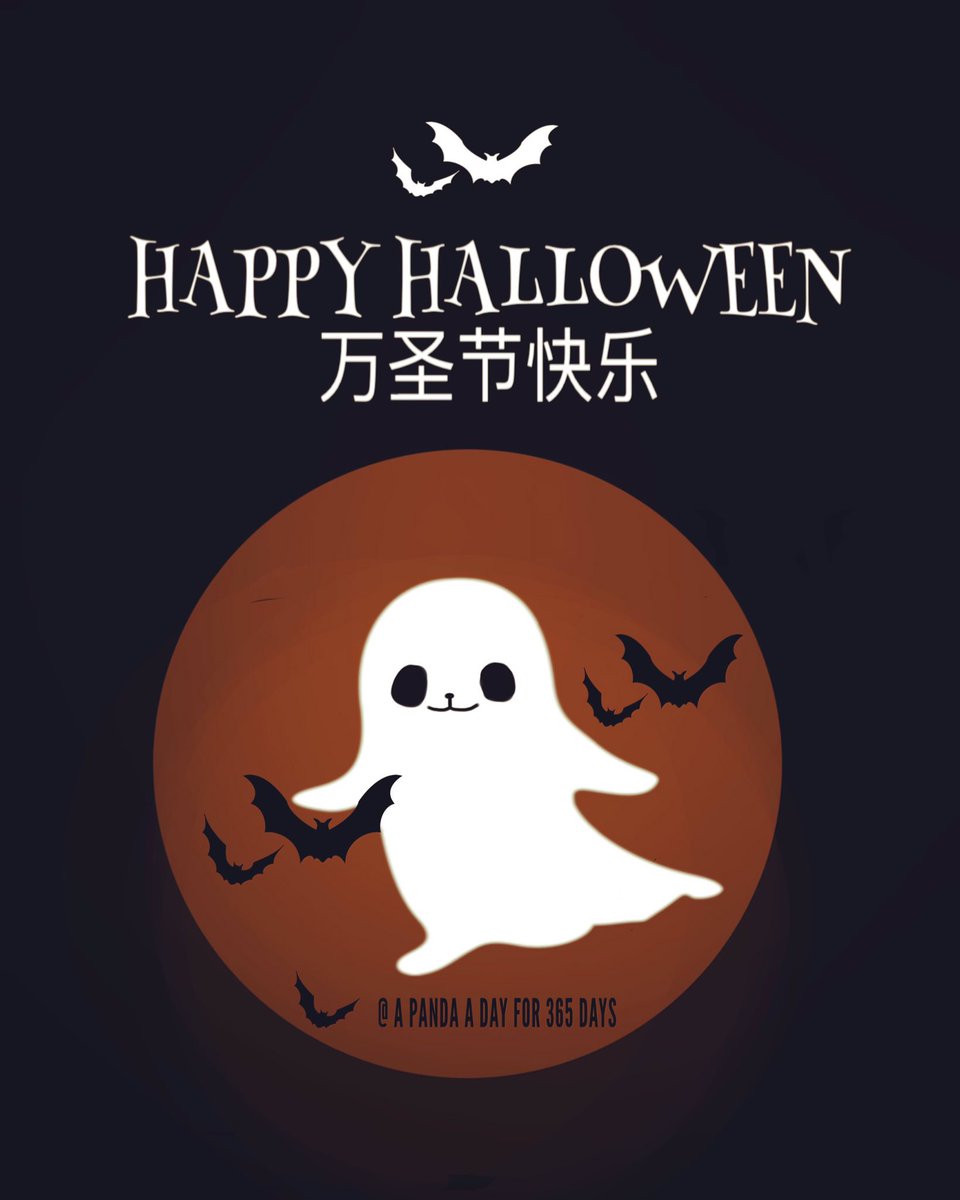 A panda a day for 365 days. tweet media