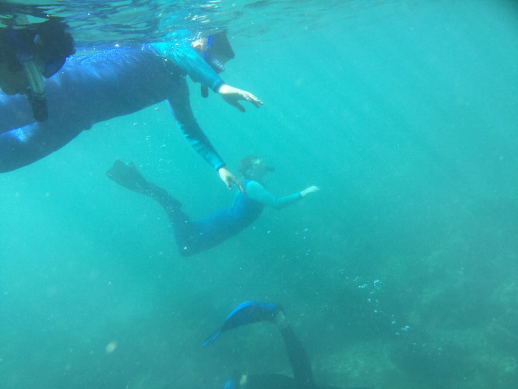 Another adventurous and discovery filled day at CIMI for MCMS students.