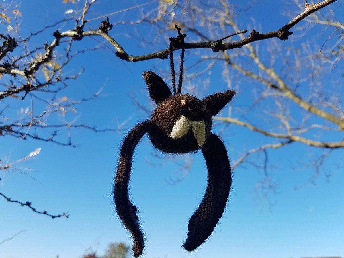 FittingKnitting's tweet photo. Fangtastic friends now up on the website!
#fangtastic #creepycritters
#knittedbat #battybat
#knittedspider #spookyspider
#halloweenknitting https://t.co/AsfErR0oeY