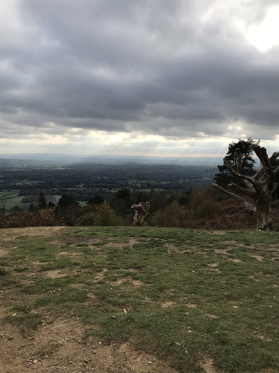 alexbeilby's tweet photo. Great day out at @nationaltrust Leith Hill, looking at various ways the landscape is being managed for wildlife. Loads of Redwing and Fieldfare about, and some beautiful fungi. Highlight of the day being a small flock of Brambling. #MScWildMan https://t.co/iOnxrAZVLH