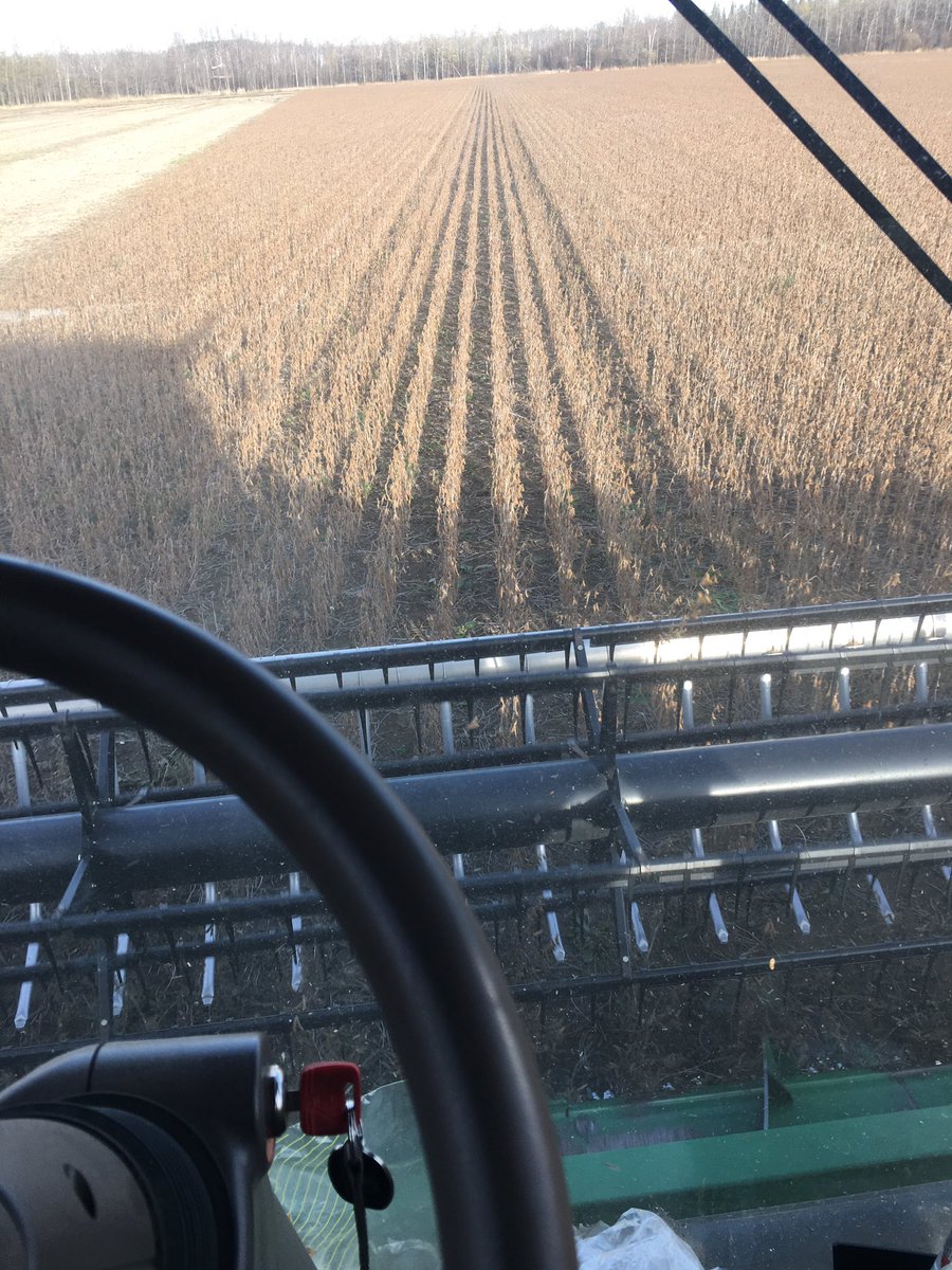 Milk_the_cow4's tweet image. Back at #harvest18 and #sendingit