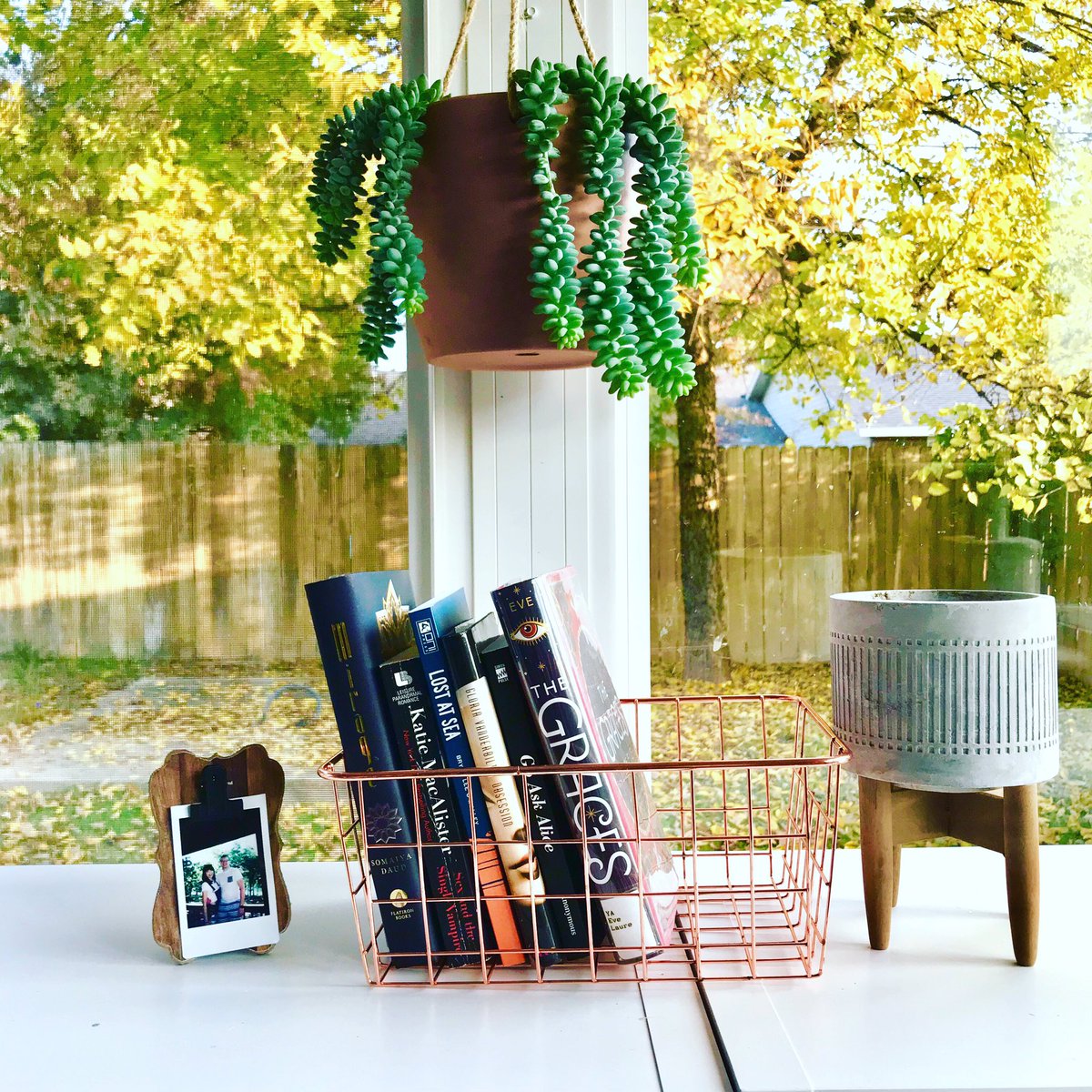 thebookishlion's tweet image. As we approach the end of this month, I wanted to share my #OctoberRoundup ! Here are the fabulous titles I enjoyed this month! Shout out to #mirage @somaiiiya @owlcrate and #TheGraces by @laureevewriter as enticing fall reads! #bookstagram #bookblogger #readersofinstagram