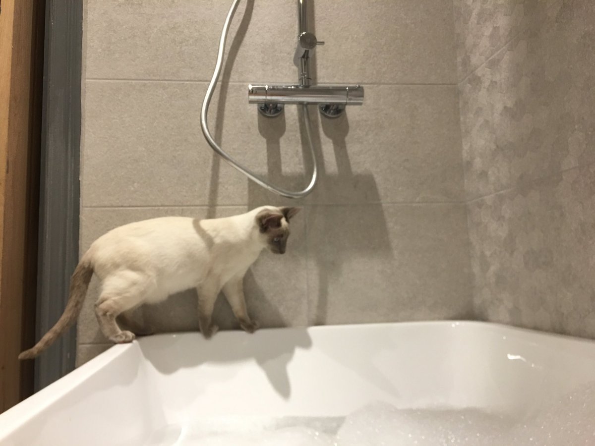 They really just can’t stop themselves can they?