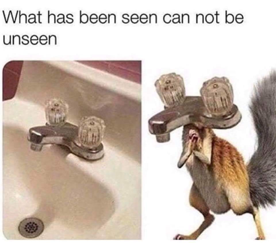 ApapooSite's tweet image. 